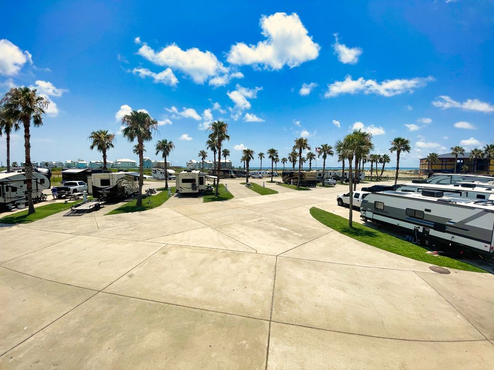 Concrete pads and palm rows at Sandpiper RV Resort with the Gulf of Mexico on the horizon