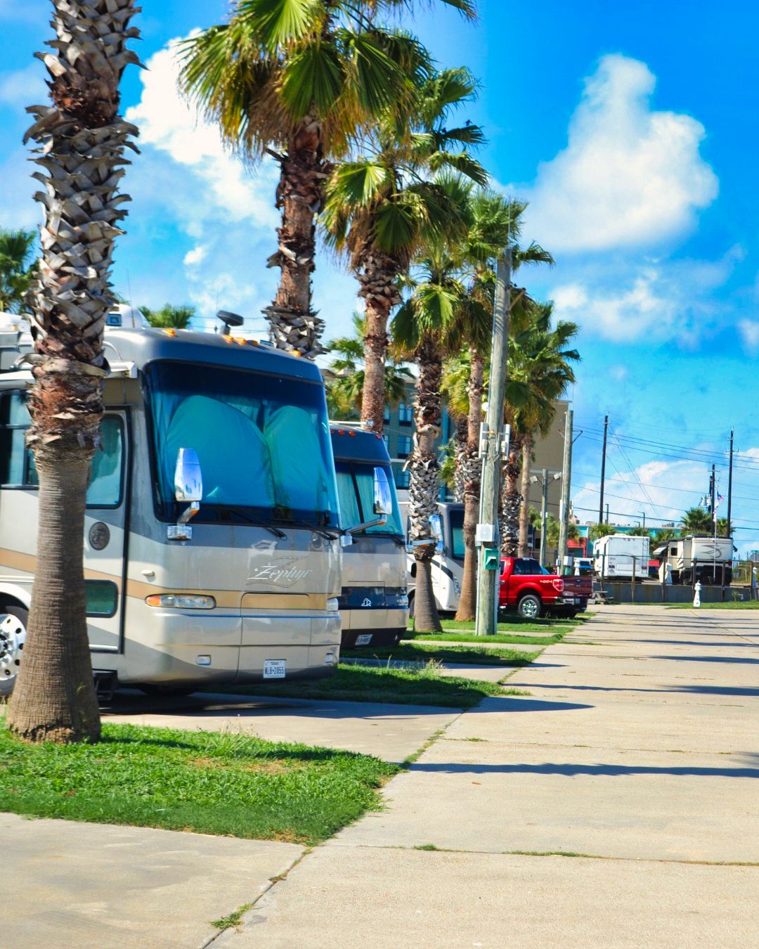 An RV parked on a landscaped site under palms