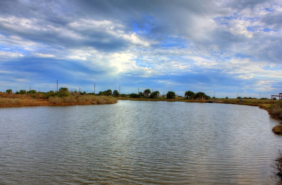 A bend in the marsh pond at Galveston Island State Park